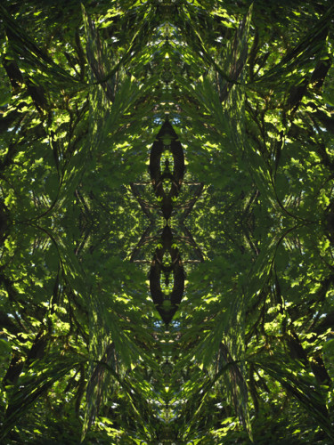 Цифровое искусство под названием "Forest Abstract 59" - Kenneth Grzesik, Подлинное произведение искусства, 2D Цифровая Работа