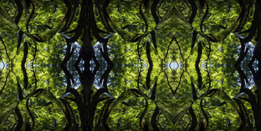 Digital Arts titled "Forest Abstract 60" by Kenneth Grzesik, Original Artwork, 2D Digital Work