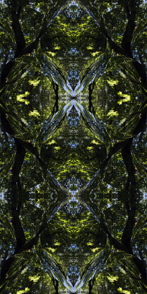 Digitale Kunst mit dem Titel "Forest Abstract 61" von Kenneth Grzesik, Original-Kunstwerk, 2D digitale Arbeit