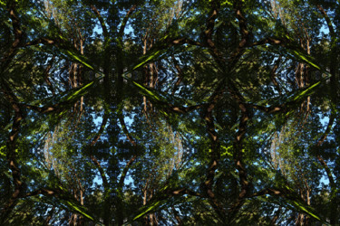 Grafika cyfrowa / sztuka generowana cyfrowo zatytułowany „Forest Abstract 62” autorstwa Kenneth Grzesik, Oryginalna praca, 2…