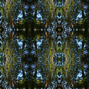 Grafika cyfrowa / sztuka generowana cyfrowo zatytułowany „Forest Abstract 64” autorstwa Kenneth Grzesik, Oryginalna praca, 2…