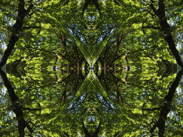 Digital Arts titled "Forest Abstract 65" by Kenneth Grzesik, Original Artwork, 2D Digital Work