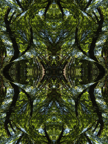 Digitale Kunst mit dem Titel "Forest Abstract 66" von Kenneth Grzesik, Original-Kunstwerk, 2D digitale Arbeit