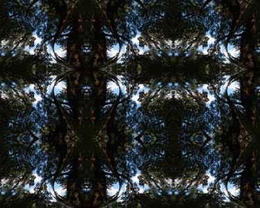 Digital Arts titled "Forest Abstract 67" by Kenneth Grzesik, Original Artwork, 2D Digital Work
