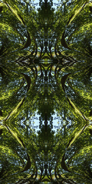 Artes digitais intitulada "Forest Abstract 70" por Kenneth Grzesik, Obras de arte originais, Trabalho Digital 2D