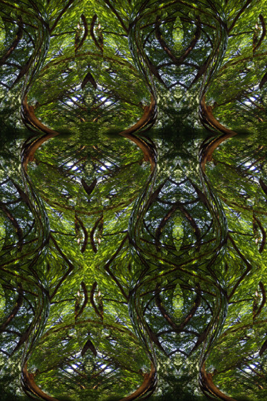 Grafika cyfrowa / sztuka generowana cyfrowo zatytułowany „Forest Abstract 72” autorstwa Kenneth Grzesik, Oryginalna praca, 2…