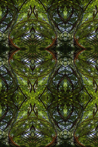 Forest Abstract 72 Digital Arts titled "Forest Abstract 72" by Kenneth Grzesik, Original Art, 2D Digital Work