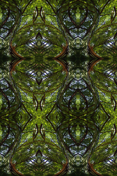 Digital Arts titled "Forest Abstract 72" by Kenneth Grzesik, Original Artwork, 2D Digital Work