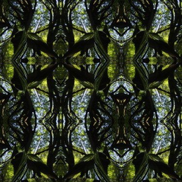 Arts numériques intitulée "Forest Abstract 73" par Kenneth Grzesik, Œuvre d'art originale, Travail numérique 2D