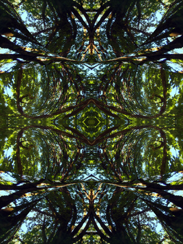 Цифровое искусство под названием "Forest Abstract 75" - Kenneth Grzesik, Подлинное произведение искусства, 2D Цифровая Работа