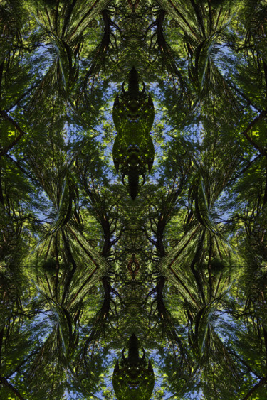 Arts numériques intitulée "Forest Abstract 77" par Kenneth Grzesik, Œuvre d'art originale, Travail numérique 2D