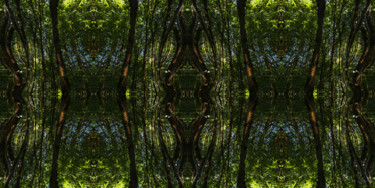 Digital Arts titled "Forest Abstract 78" by Kenneth Grzesik, Original Artwork, 2D Digital Work