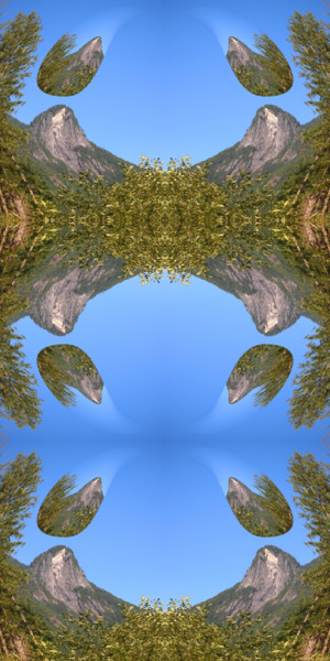 Digitale Kunst getiteld "Forest Abstract 79" door Kenneth Grzesik, Origineel Kunstwerk, 2D Digital Work