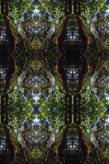 Digitale Kunst getiteld "Forest Abstract 81" door Kenneth Grzesik, Origineel Kunstwerk, 2D Digital Work