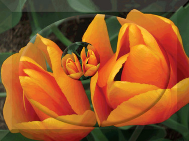 Garden View 3 Digital Arts titled "Garden View 3" by Kenneth Grzesik, Original Art, 2D Digital Work