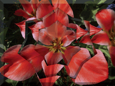 Garden View 9 Digital Arts titled "Garden View 9" by Kenneth Grzesik, Original Art, 2D Digital Work