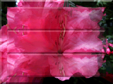 Garden View 22 Digital Arts titled "Garden View 22" by Kenneth Grzesik, Original Art, 2D Digital Work