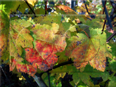 Arts numériques intitulée "Autumn View 3" par Kenneth Grzesik, Œuvre d'art originale, Photographie manipulée