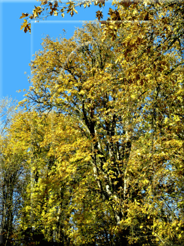 "Autumn View 4" başlıklı Dijital Sanat Kenneth Grzesik tarafından, Orijinal sanat, Fotoşoplu fotoğrafçılık