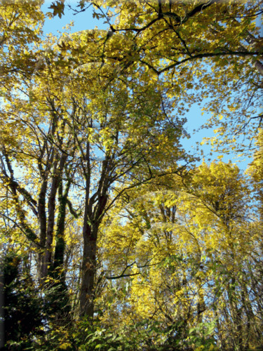 "Autumn View 6" başlıklı Dijital Sanat Kenneth Grzesik tarafından, Orijinal sanat, 2D Dijital Çalışma