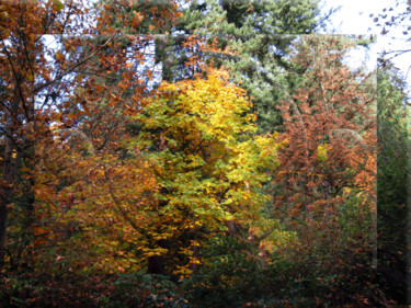Φωτογραφία με τίτλο "Autumn View 9" από Kenneth Grzesik, Αυθεντικά έργα τέχνης, Χειρισμένη φωτογραφία