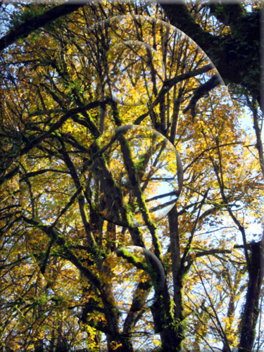 Fotografie getiteld "Autumn View 10" door Kenneth Grzesik, Origineel Kunstwerk, Gemanipuleerde fotografie
