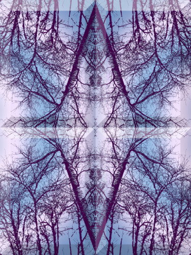 Digitale Kunst getiteld "Wintry Forest 1" door Kenneth Grzesik, Origineel Kunstwerk, 2D Digital Work