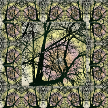 Arte digital titulada "Wintry Forest 3" por Kenneth Grzesik, Obra de arte original, Trabajo Digital 2D