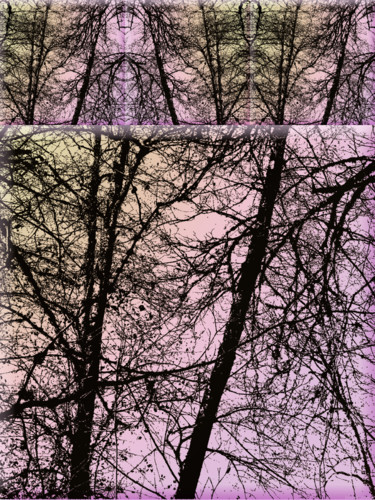 Grafika cyfrowa / sztuka generowana cyfrowo zatytułowany „Wintry Forest 7” autorstwa Kenneth Grzesik, Oryginalna praca, 2D p…