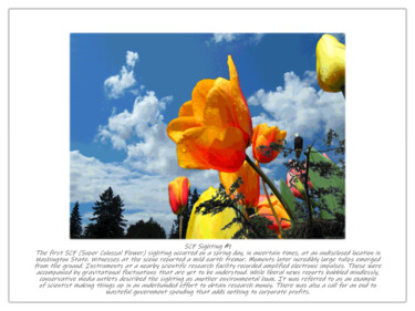 Digitale Kunst mit dem Titel "SCF Sighting #1" von Kenneth Grzesik, Original-Kunstwerk, Digitaldruck