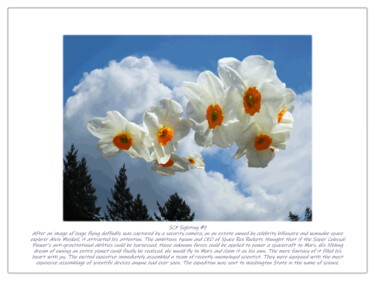 Grafika cyfrowa / sztuka generowana cyfrowo zatytułowany „SCF Sighting #7” autorstwa Kenneth Grzesik, Oryginalna praca, Foto…