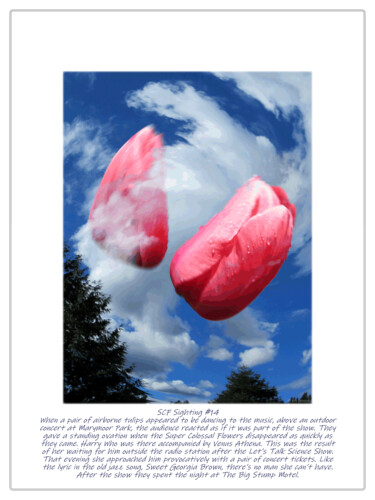 Arte digital titulada "SCF Sighting #14" por Kenneth Grzesik, Obra de arte original, Fotografía digital