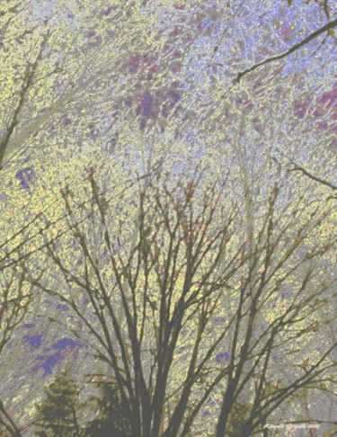 Digital Arts titled "Winter Forest 1" by Kenneth Grzesik, Original Artwork