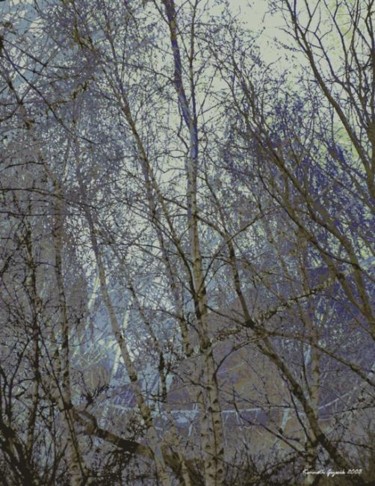 Arts numériques intitulée "Winter Forest 5" par Kenneth Grzesik, Œuvre d'art originale