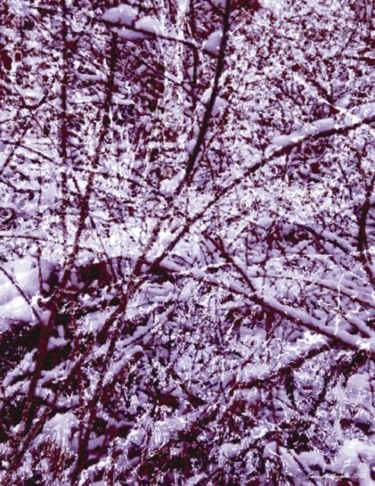 Arts numériques intitulée "Winter Forest 12" par Kenneth Grzesik, Œuvre d'art originale