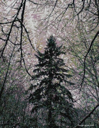 Digital Arts titled "Winter Forest 16" by Kenneth Grzesik, Original Artwork, Collages