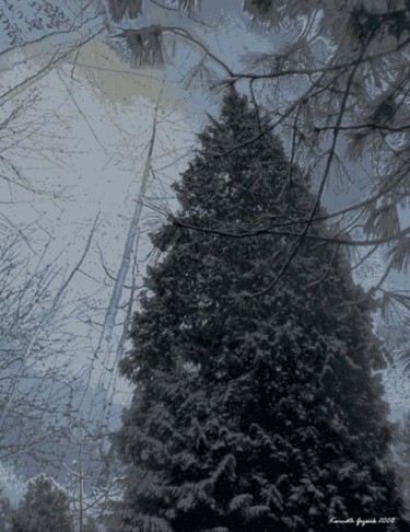 Arts numériques intitulée "Winter Forest 18" par Kenneth Grzesik, Œuvre d'art originale, Peinture numérique