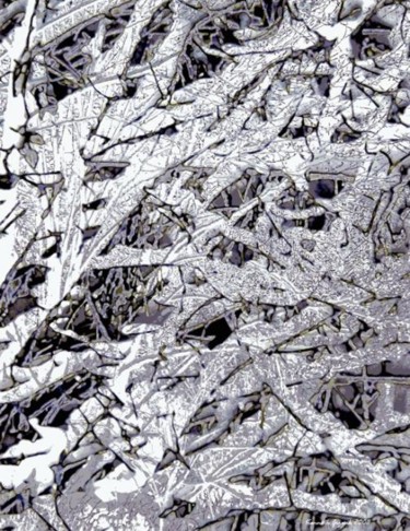Digitale Kunst mit dem Titel "Winter Forest 22" von Kenneth Grzesik, Original-Kunstwerk, Digitale Malerei