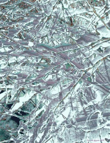 Digital Arts titled "Winter Forest 23" by Kenneth Grzesik, Original Artwork, Digital Painting