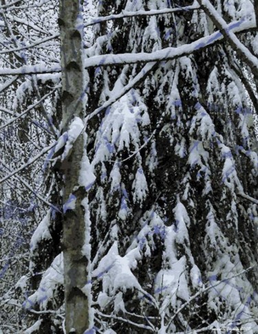 Digital Arts titled "Winter Forest 27" by Kenneth Grzesik, Original Artwork, Collages