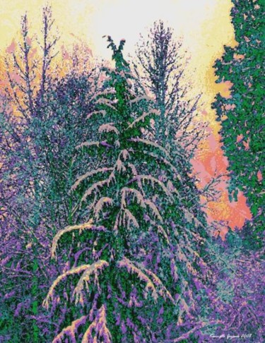 Arts numériques intitulée "Winter Forest 30" par Kenneth Grzesik, Œuvre d'art originale, Peinture numérique