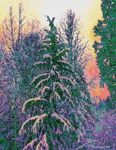 Digital Arts titled "Winter Forest 30" by Kenneth Grzesik, Original Artwork, Digital Painting