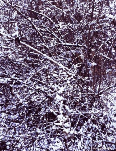 Digital Arts titled "Winter Forest 31" by Kenneth Grzesik, Original Artwork, Digital Painting