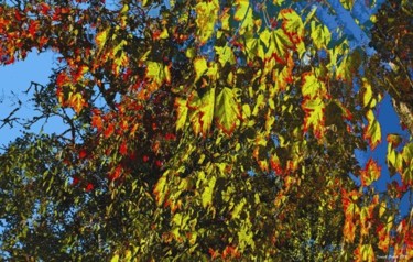Цифровое искусство под названием "Autumnly #21" - Kenneth Grzesik, Подлинное произведение искусства, Цифровая живопись