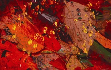 Digital Arts titled "Autumnly #48" by Kenneth Grzesik, Original Artwork, Digital Painting