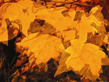 Arte digital titulada "Autumnation 17" por Kenneth Grzesik, Obra de arte original, Pintura Digital