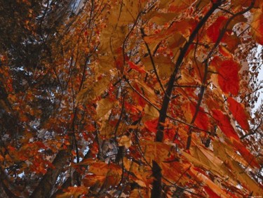Digital Arts titled "Autumnation 23" by Kenneth Grzesik, Original Artwork, Digital Painting