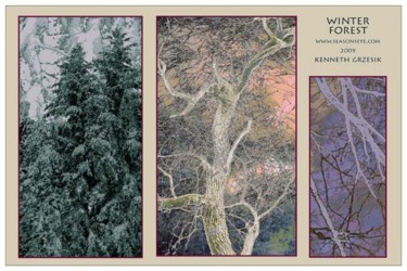 Arts numériques intitulée "Winter Forest Poster" par Kenneth Grzesik, Œuvre d'art originale, Photo montage