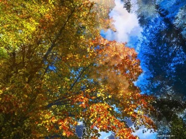 Digital Arts titled "Autumnism 20" by Kenneth Grzesik, Original Artwork, Digital Painting
