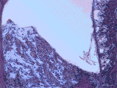 Digital Arts titled "Winterland 9" by Kenneth Grzesik, Original Artwork, Digital Painting